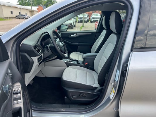2024 Ford Escape Active in Marble Hill, MO - Lutesville Ford