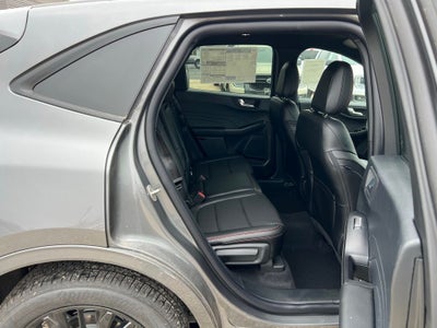 2026 Ford Escape ST-Line Elite