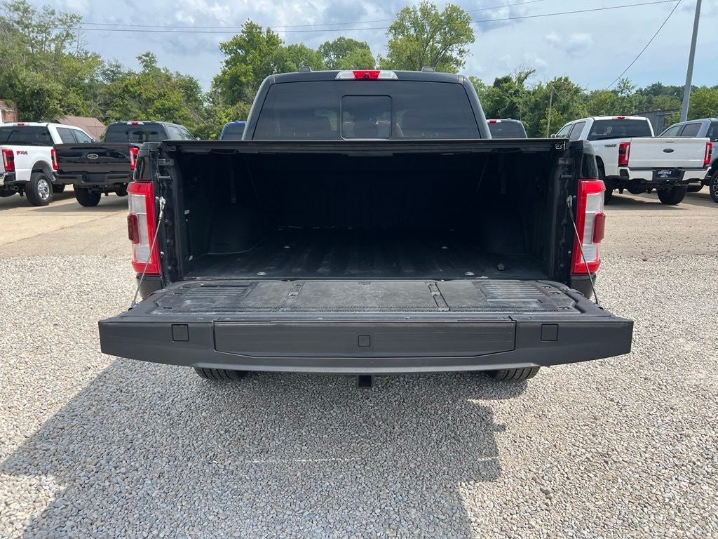 2021 Ford F-150 Platinum